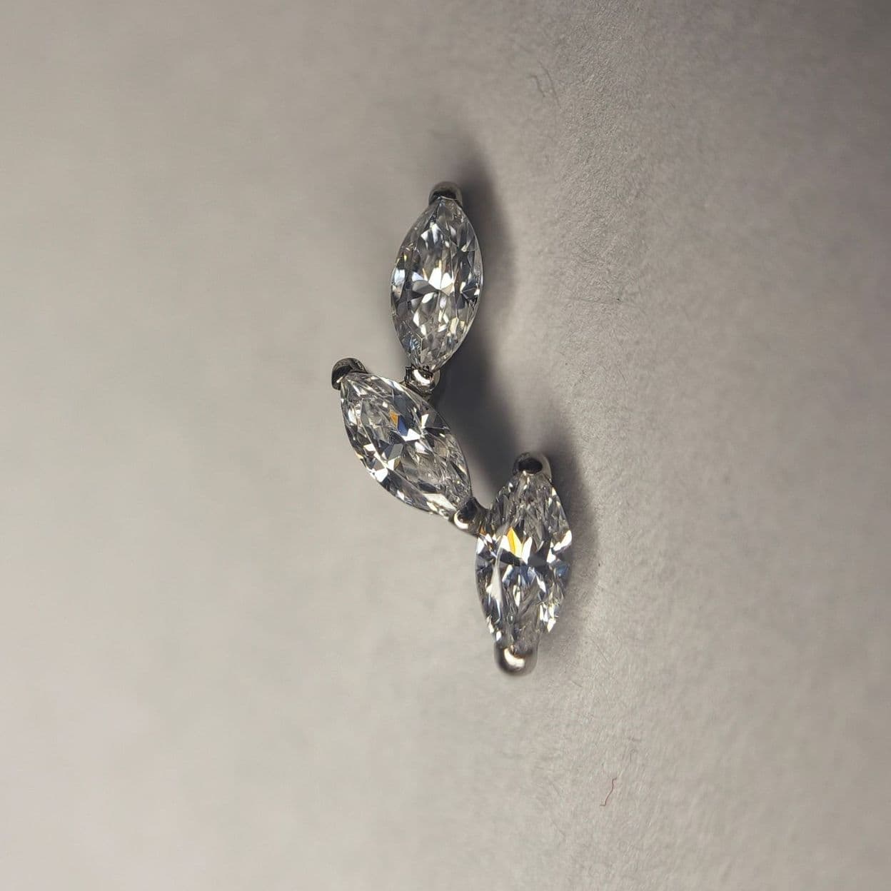 Купить Верба