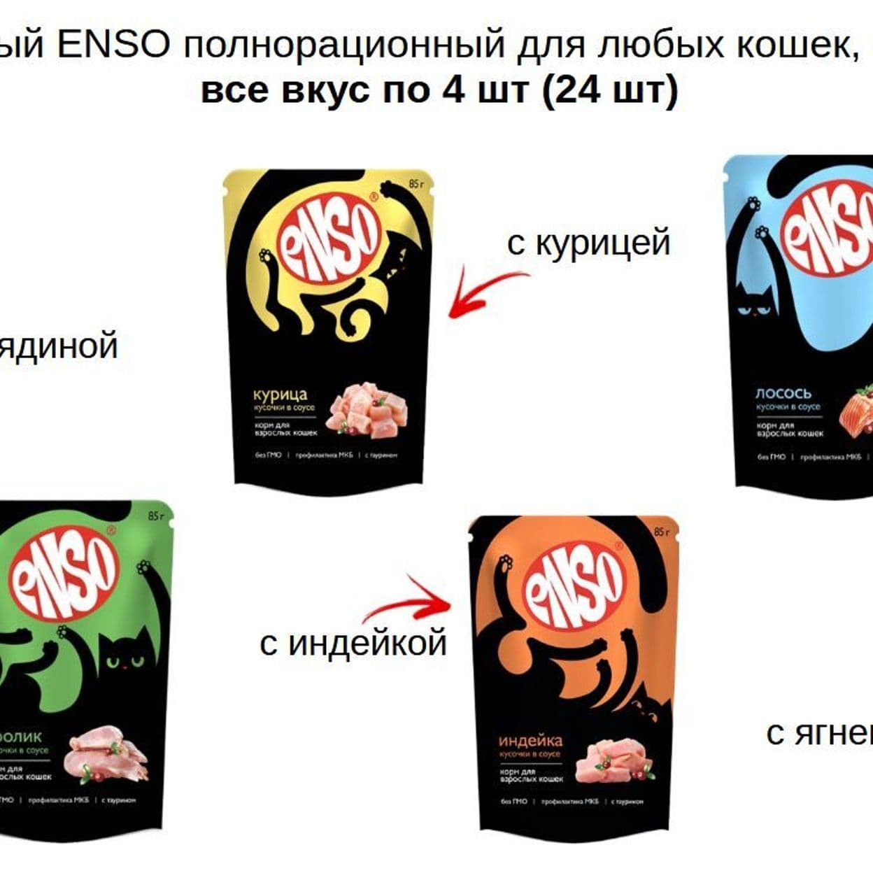 Купить Корм влажный ENSO полнорационный для любых кошек, кусочки в соусе все вкус по 4 шт (24 шт)