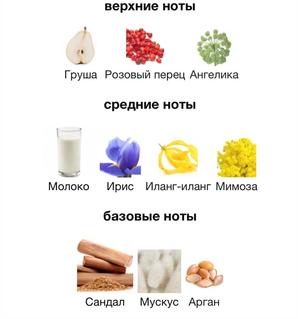 Купить Attar Collection Fleur de Santal