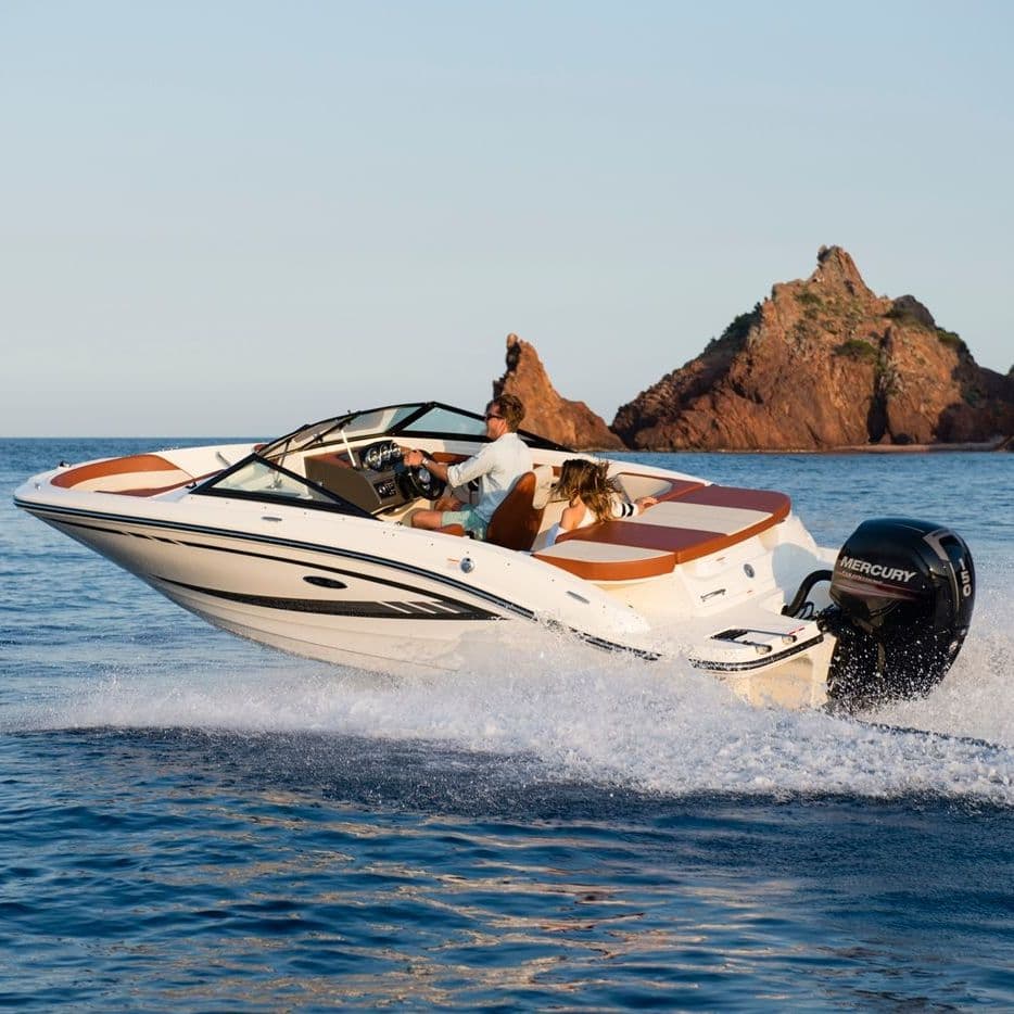 Купить Катер Sea Ray SPX 190 OB