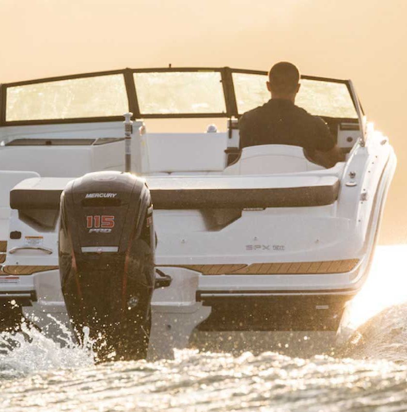 Купить Катер Sea Ray SPX 190 OB