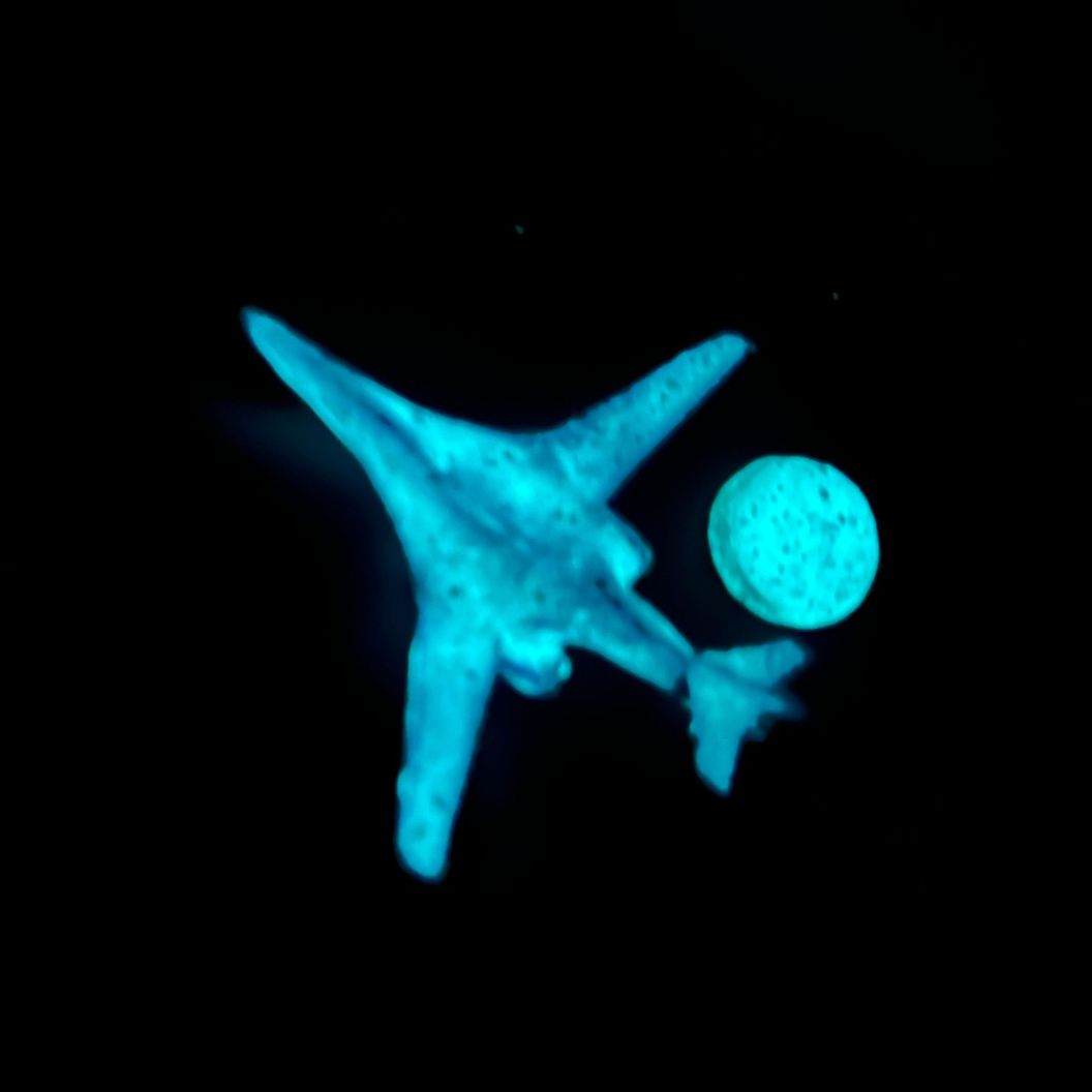 Купить Значок "Белый лебедь"