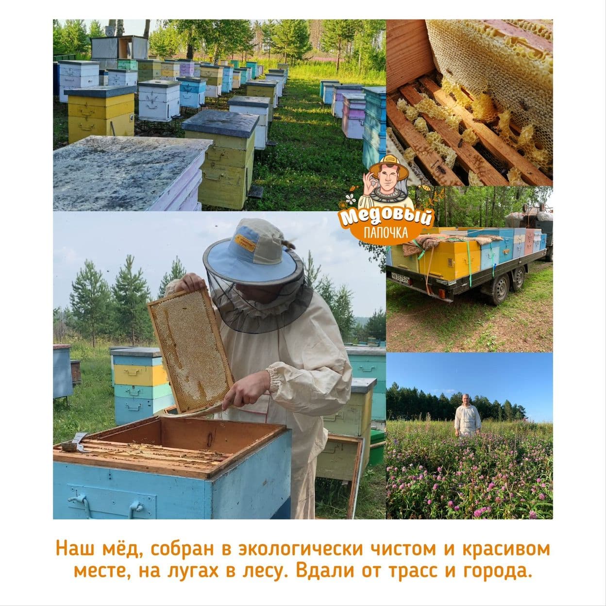 Купить Воск пчелиный забрусный, 100 грамм