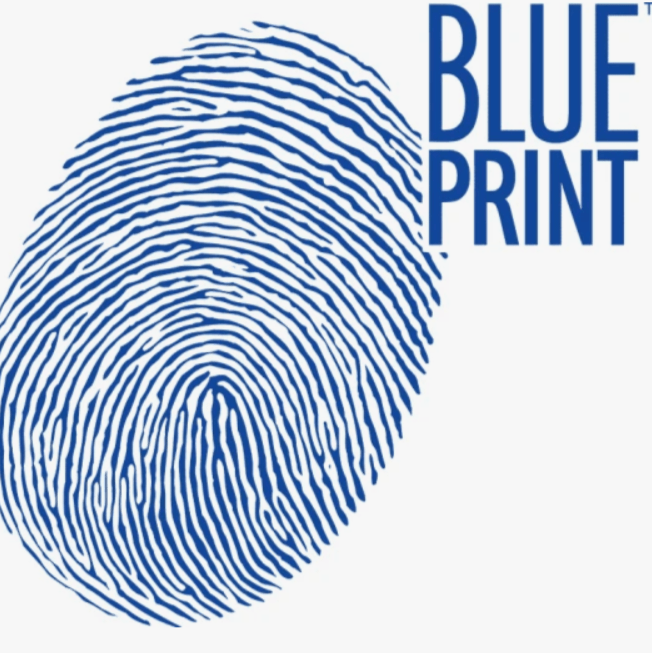Купить Blue Print