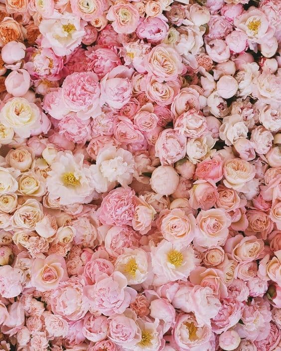 Купить Колье Roses