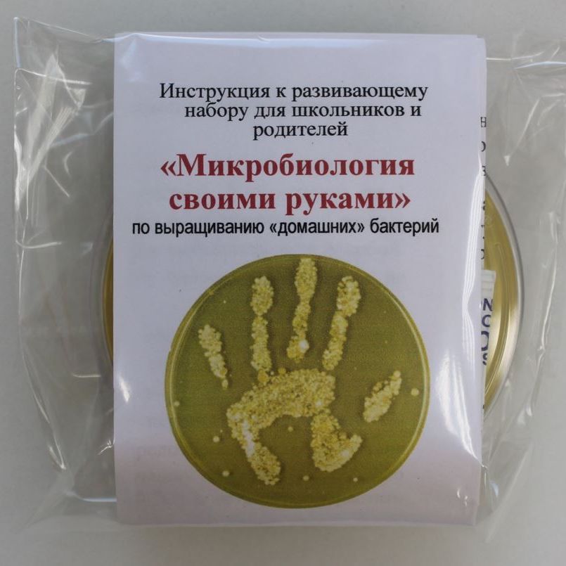 Купить Набор для опытов по микробиологии (начальный)