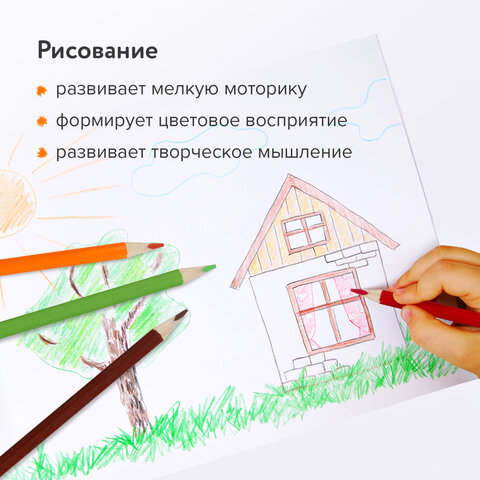 Купить Карандаши цветные "ТРОПИКИ", 12 цветов, с РАСКРАСКОЙ, трехгранные, грифель 3 мм, натуральное дерево