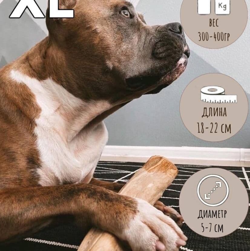 Купить Размер XL