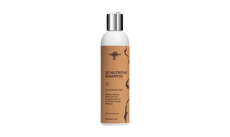 Купить Шампунь для ухода за сухими волосами So Nutritive Shampoo 250мл