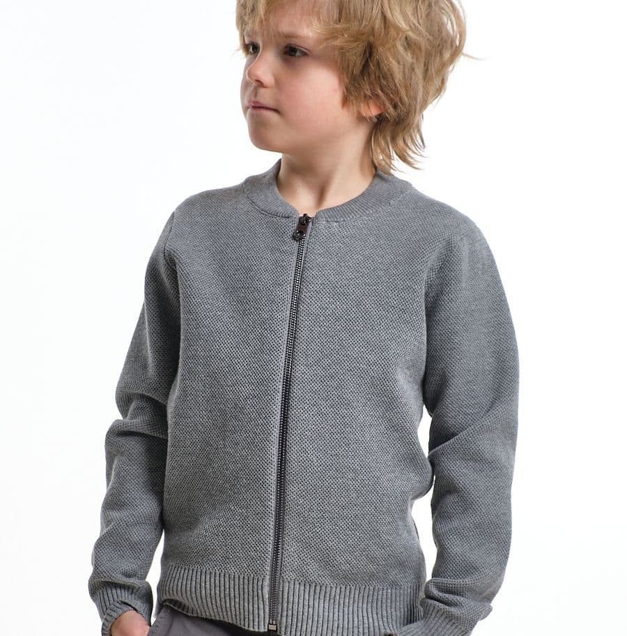Купить Джемпер на молнии школьный Mini Maxi