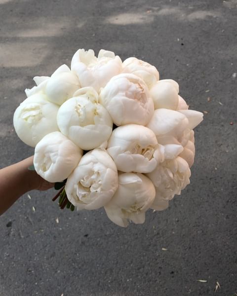 Купить Прекрасные пионы