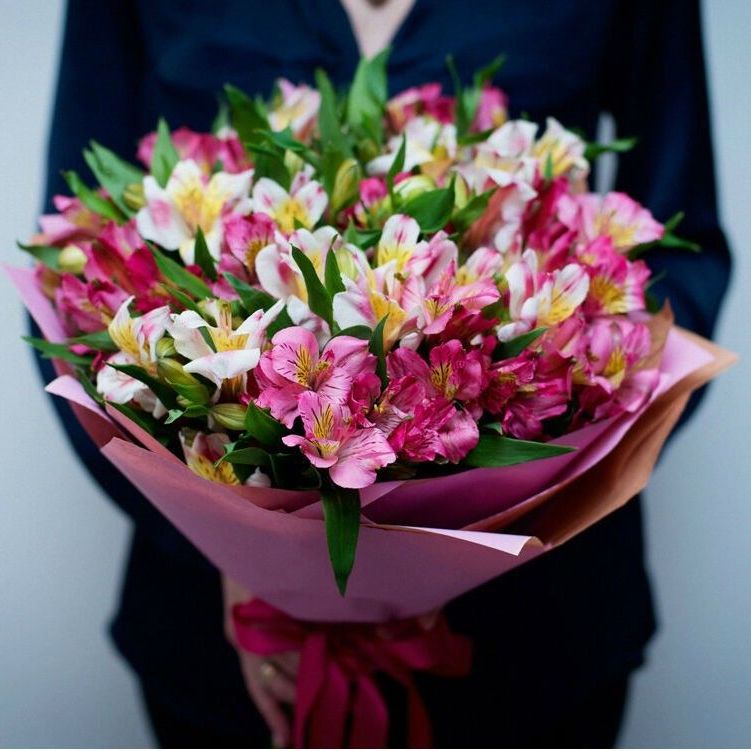 Купить  альстромерия