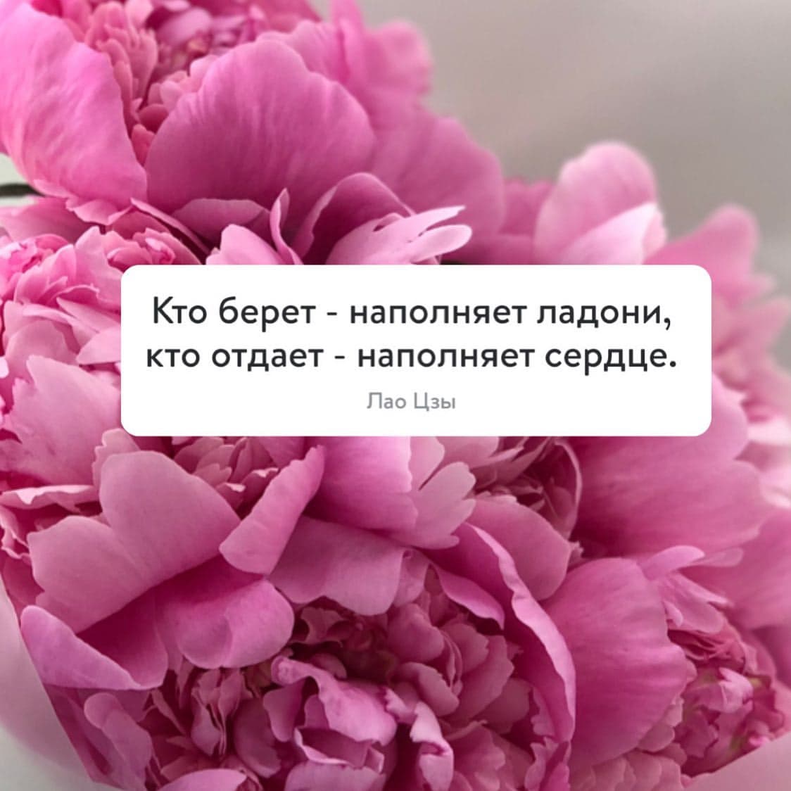 Купить Товар 9