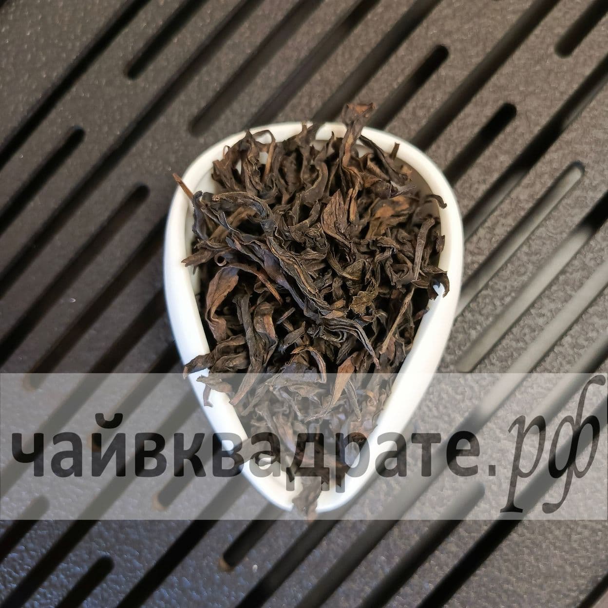 Купить Цянь Ли Сян, Осень 2023