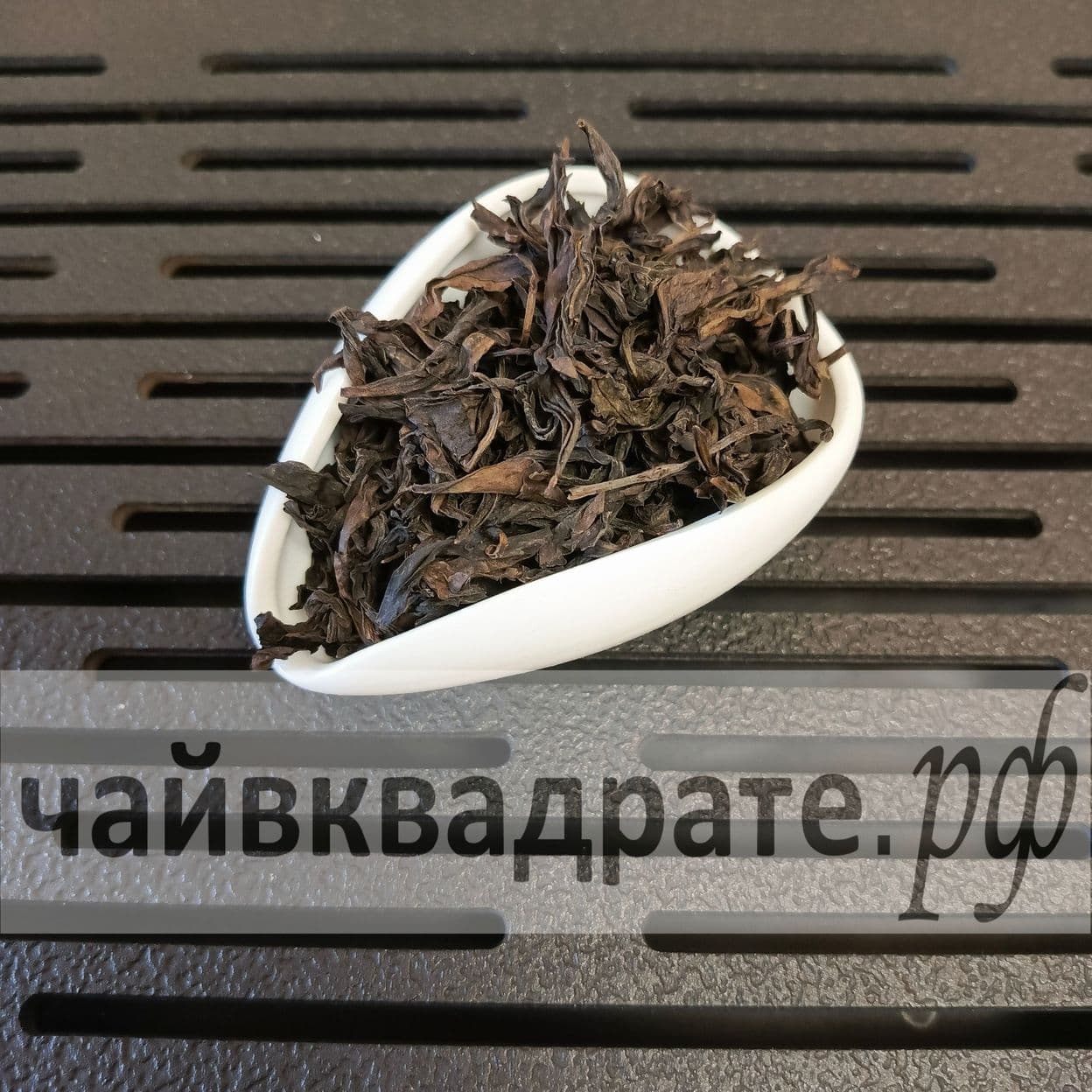 Купить Цянь Ли Сян, Осень 2023