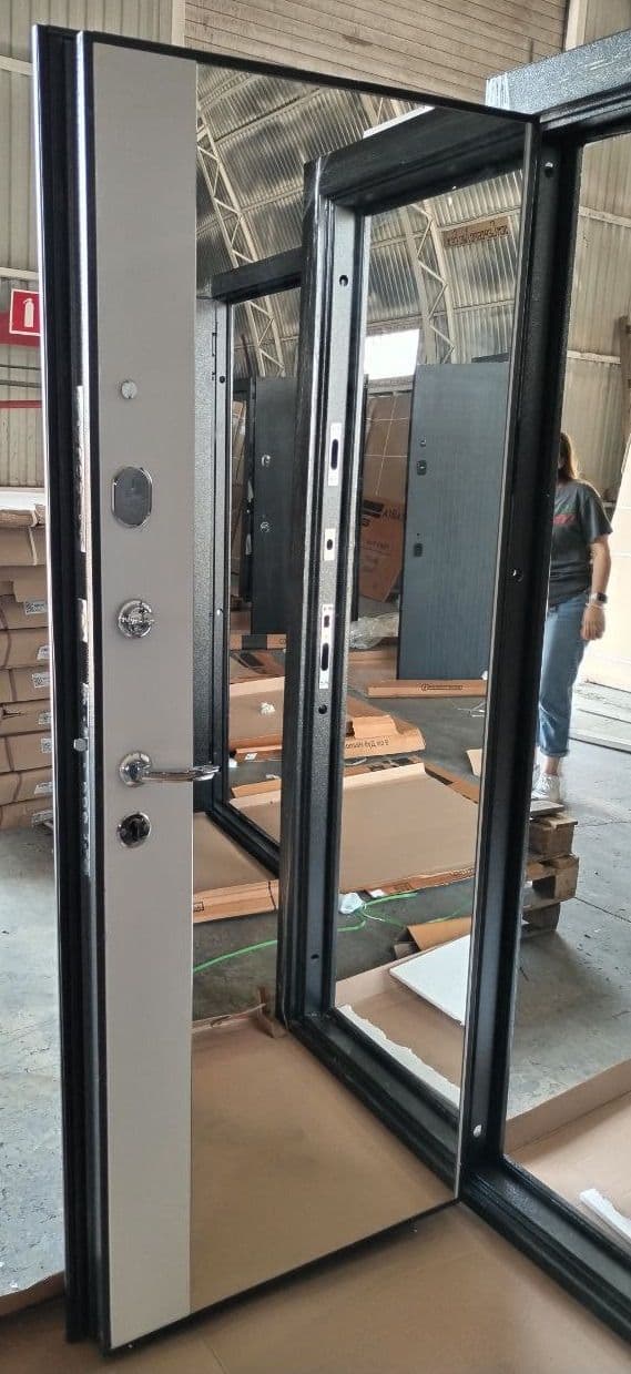 Купить Дверь входная "ТАЙГА 9" зеркало эмалит, Феррони