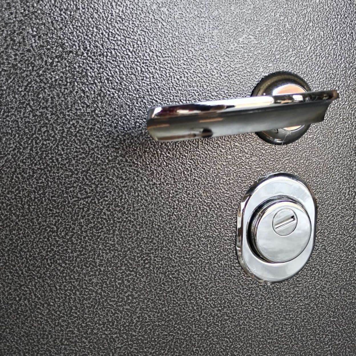 Купить Дверь входная "ТАЙГА 9" зеркало эмалит, Феррони