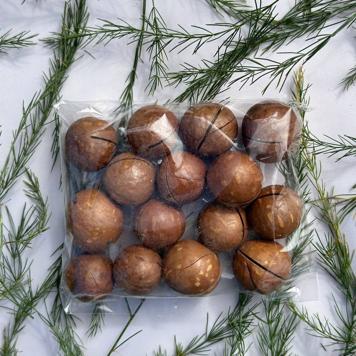 Купить Макадамия