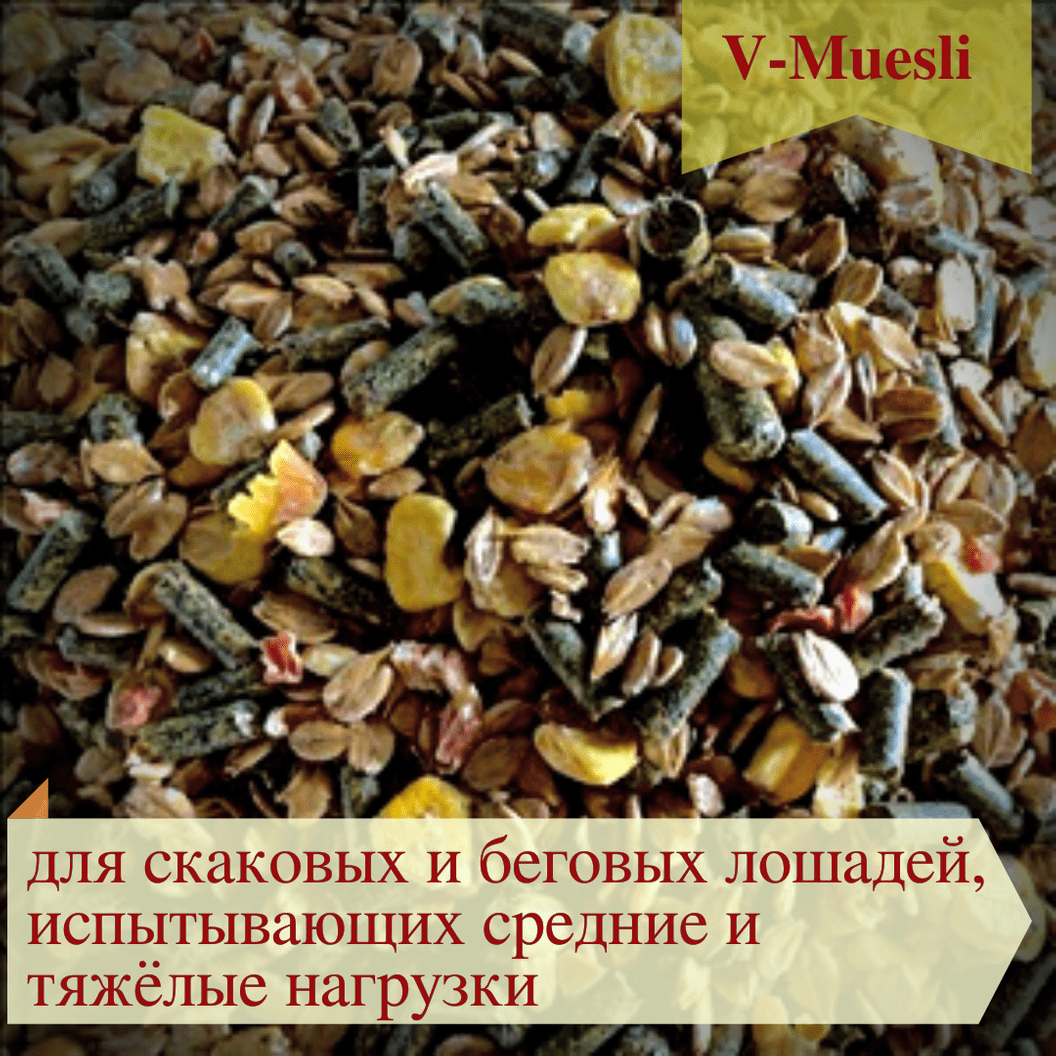 Купить Смесь кормовая GOLD LINE "V-muesli" для спортивных лошадей, мюсли