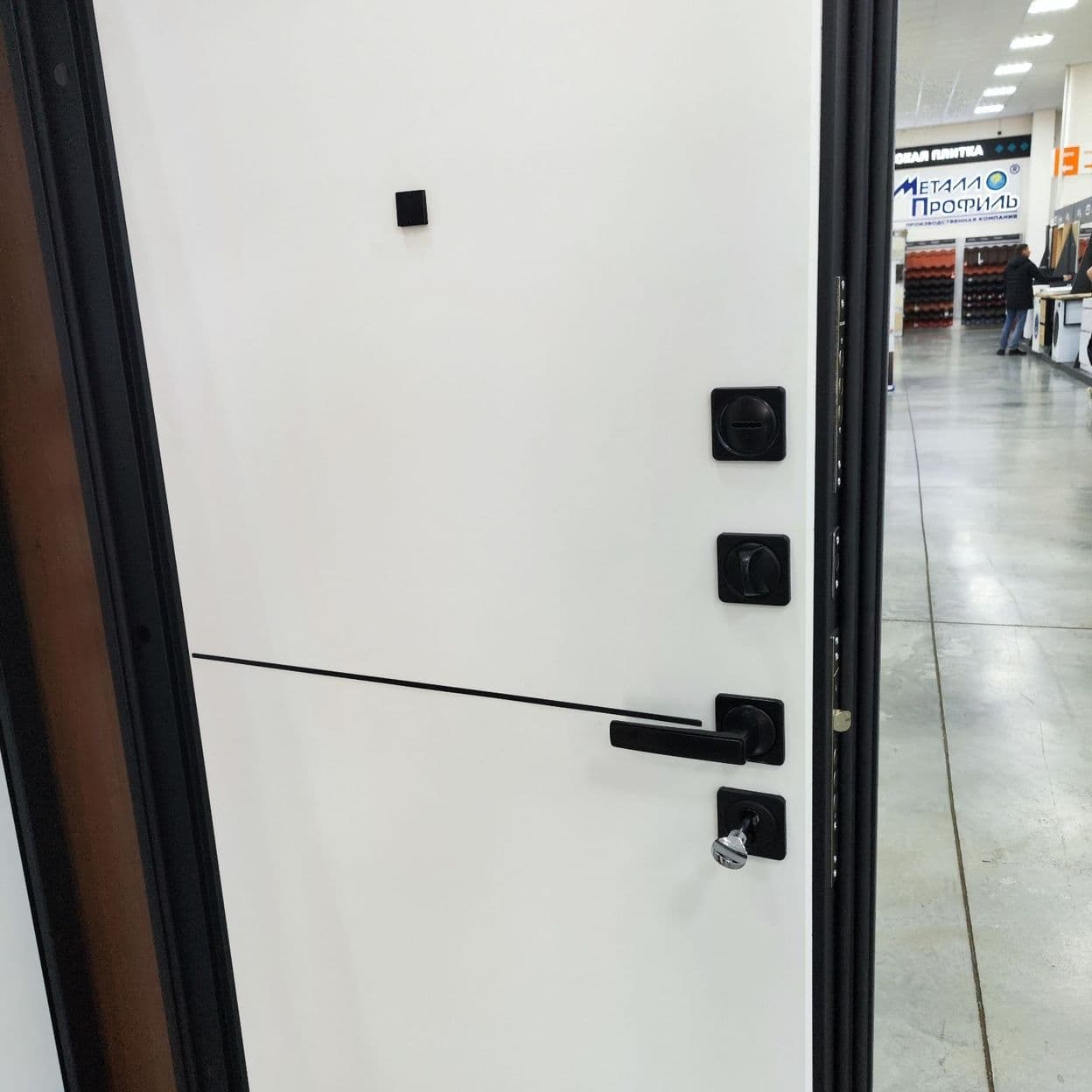 Купить Дверь входная "ЛАЙН 1", ВДК