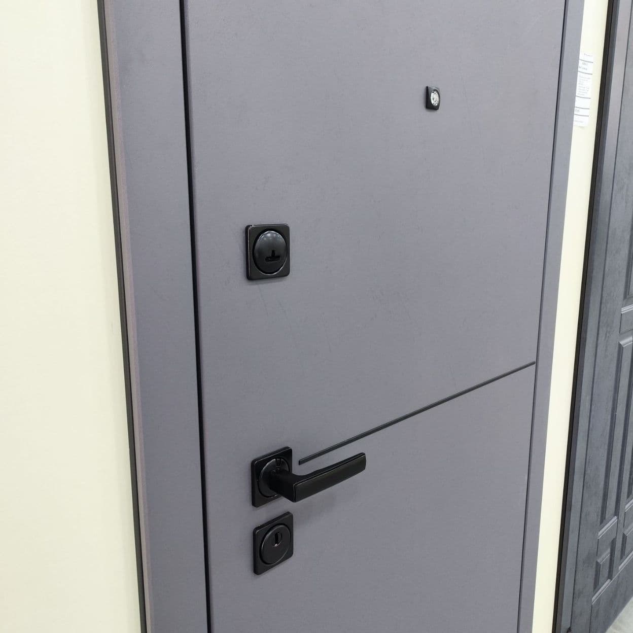 Купить Дверь входная "ЛАЙН 1", ВДК