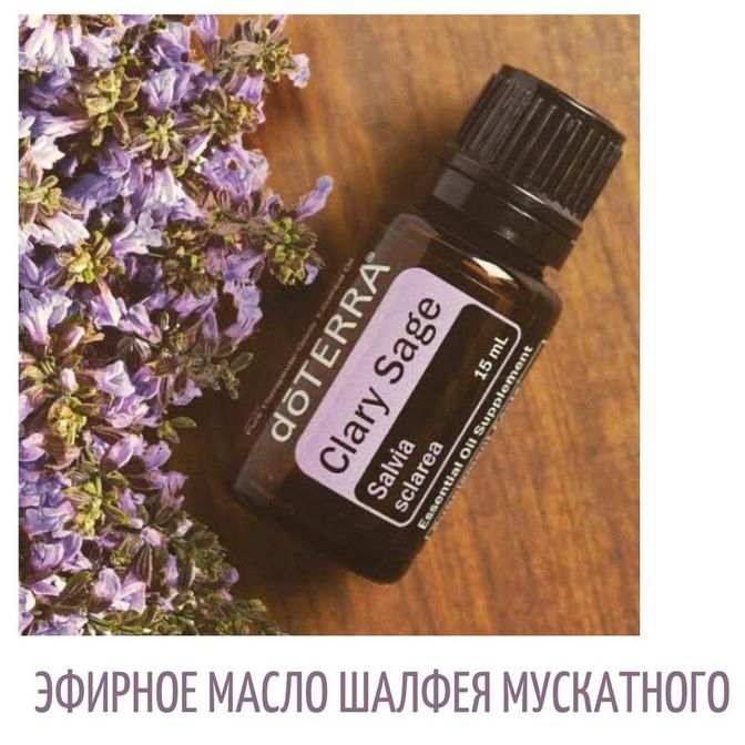 Купить Шалфей Мускатный