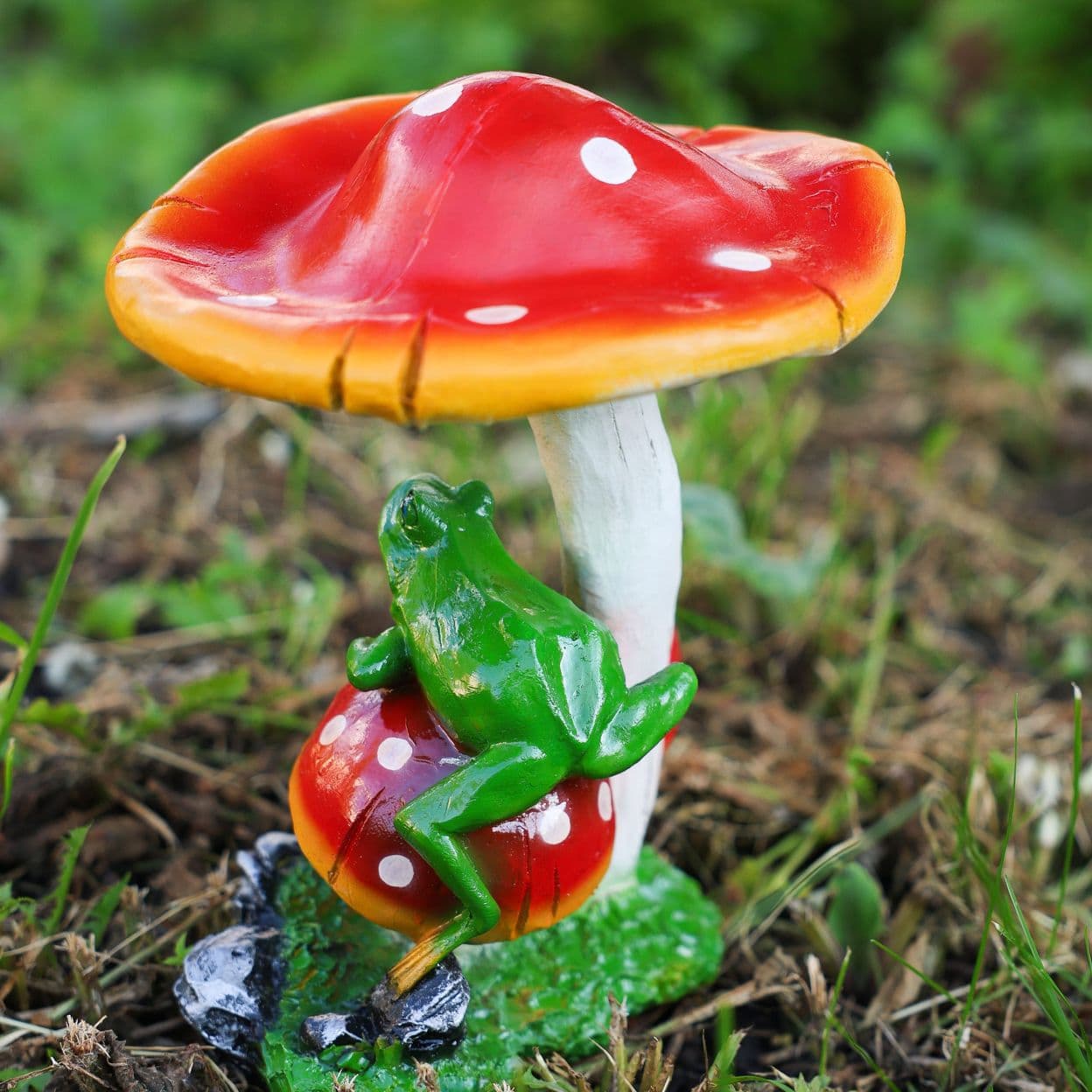 Купить Мухомор Поганка С Лягушками