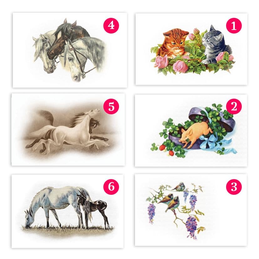 Купить Коллекционная открытка из серии "Лошади" и "Поздравления"