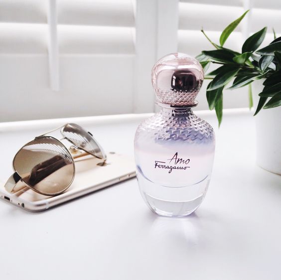 Купить S.Ferragamo Amo