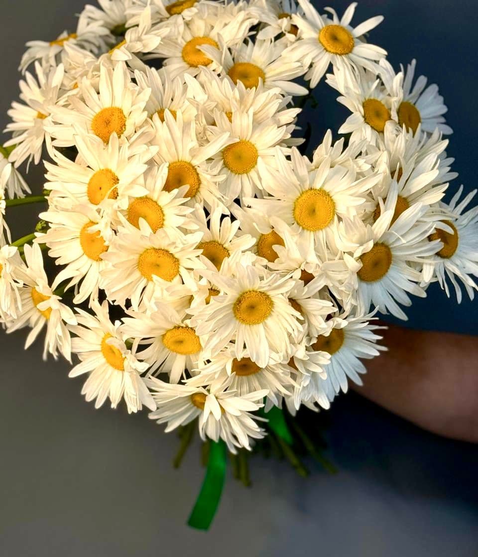 Купить Ромашка