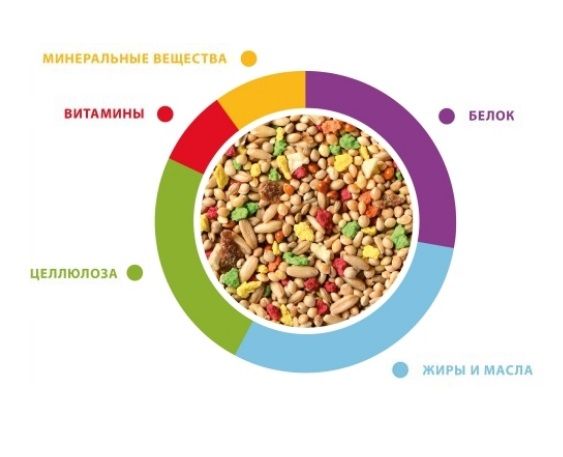 Купить Padovan Корм GRANDMIX Cocorite