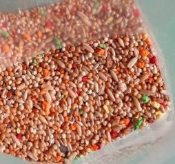 Купить Padovan Корм GRANDMIX Cocorite