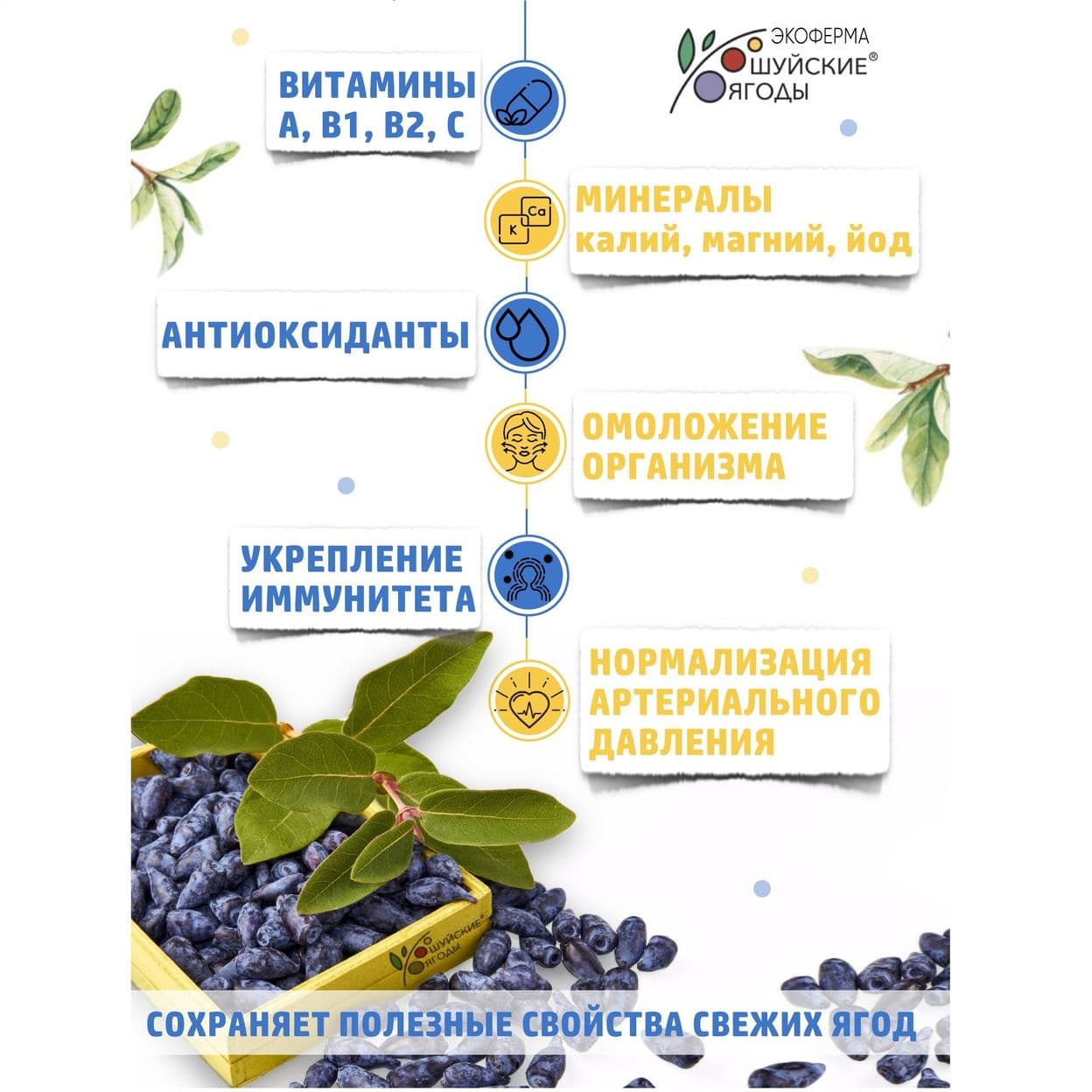 Купить ВАРЕНЬЕ ИЗ ЖИМОЛОСТИ С СИРОПОМ ТОПИНАМБУРА