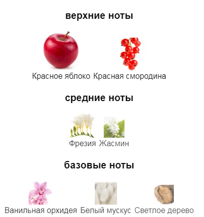 Купить Духи от Аромо Сокол Modern Princess (№005)