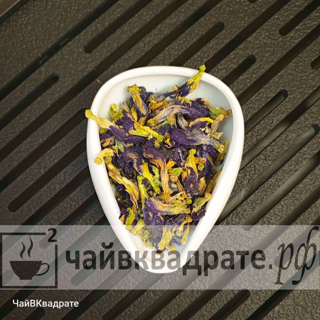 Купить Анчан (синий тайский цветок) PREMIUM