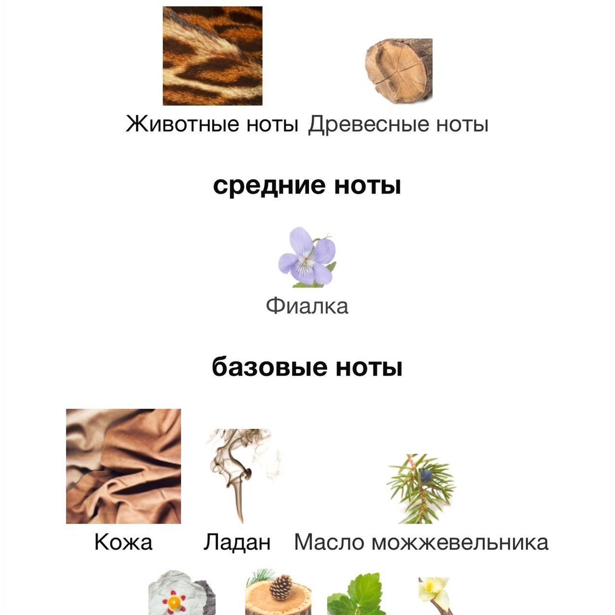 Купить Orto Parisi Cuoium