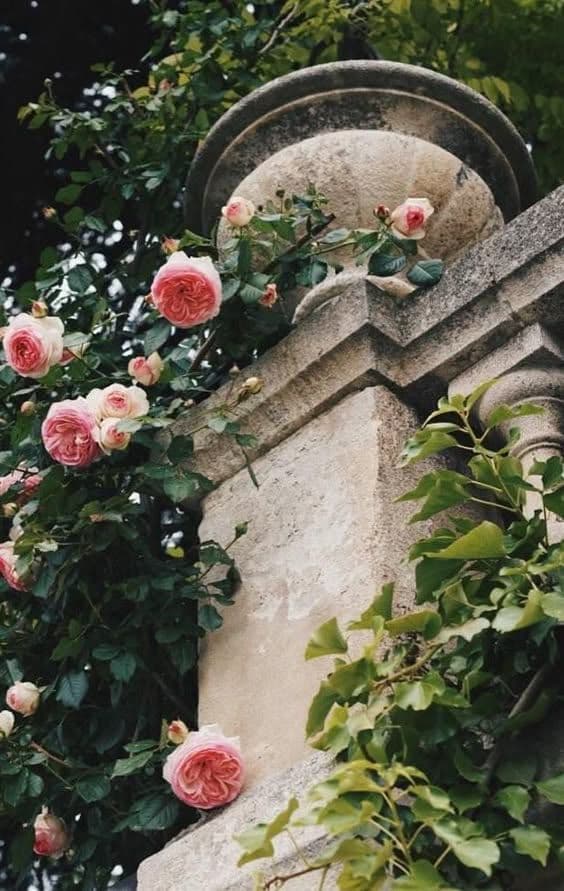 Купить Колье Secret Garden