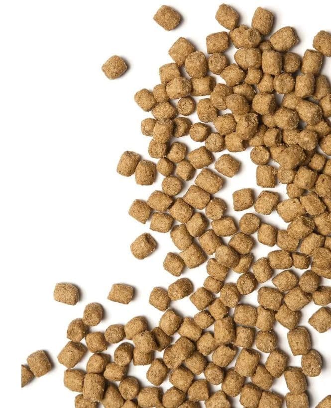 Купить Корм сухой Probalance Sterilized для стерилизованных кошек и кастрированных котов, с курицей, 10 кг