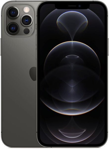 Купить iPhone 12 Pro Max 256 GB Graphit