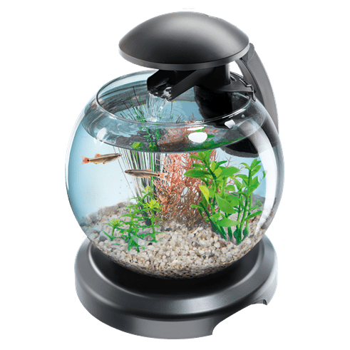 Купить Аквариум Tetra Cascade Globe Black