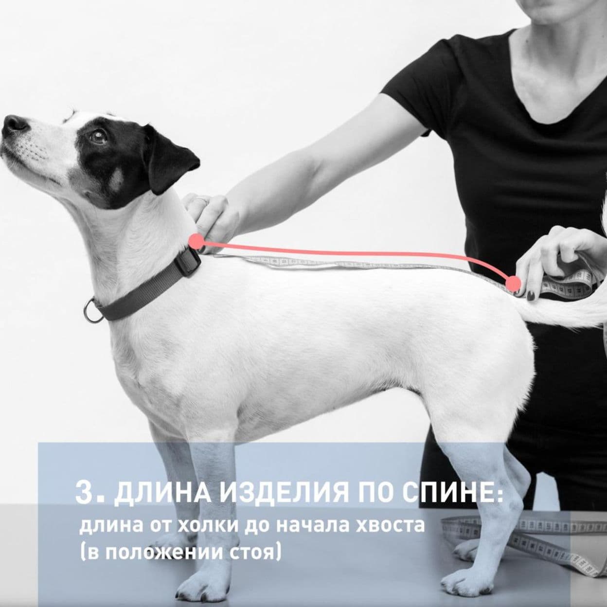 Купить Одежда для собак свитер бежевый с коричневыми оранжевыми ромбом  длина спины 35см, размер L Уют