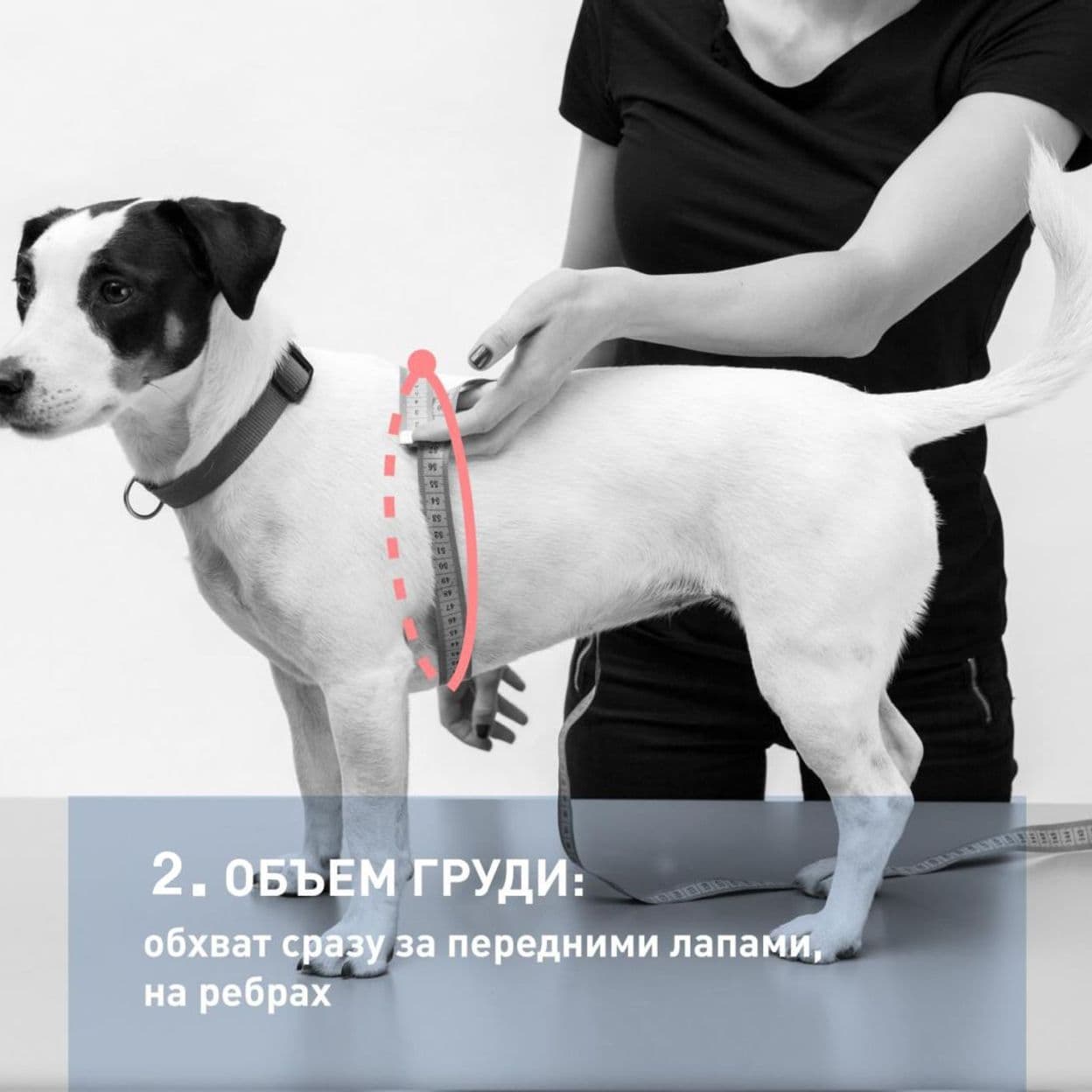 Купить Одежда для собак свитер бежевый с коричневыми оранжевыми ромбом  длина спины 35см, размер L Уют