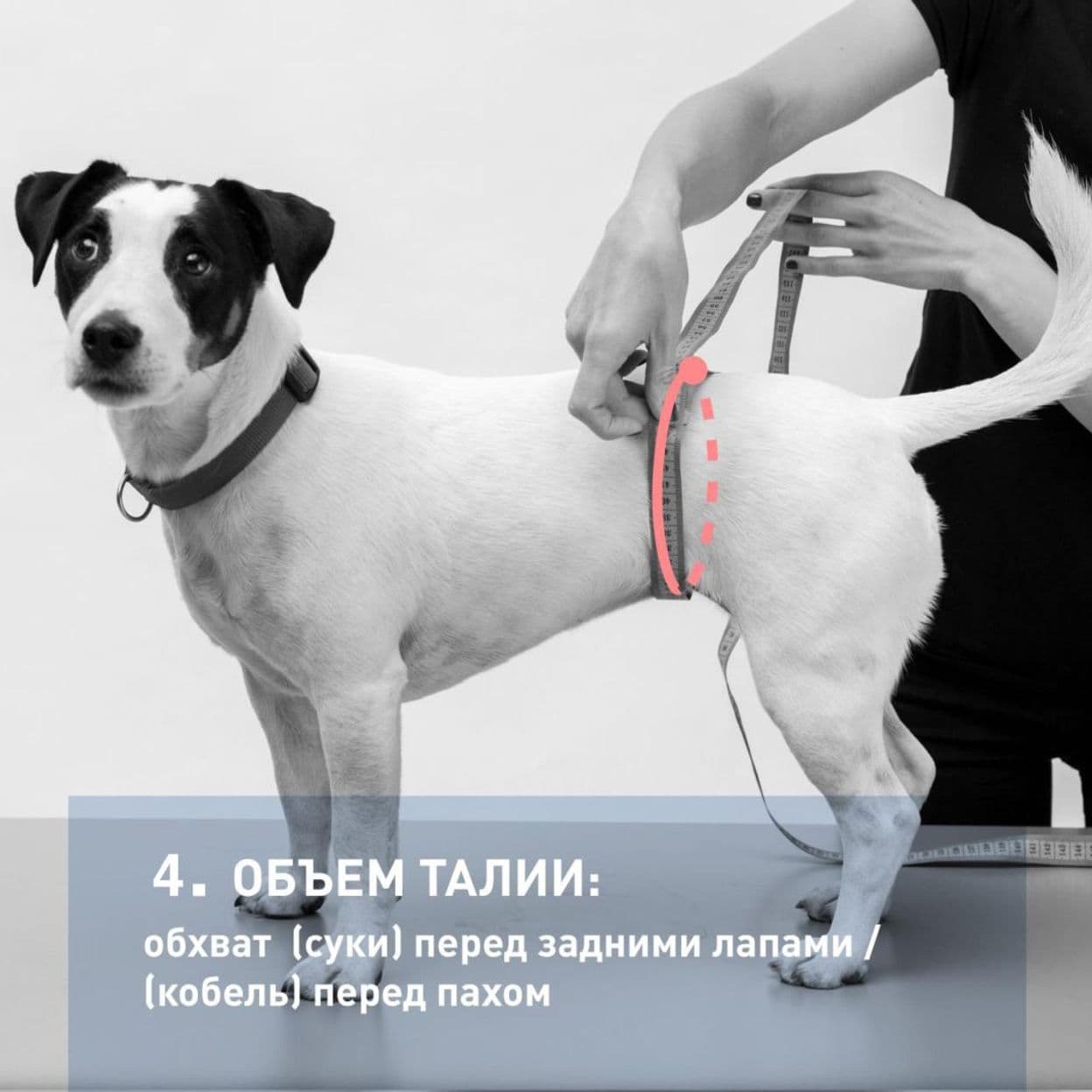 Купить Одежда для собак свитер бежевый с коричневыми оранжевыми ромбом  длина спины 35см, размер L Уют