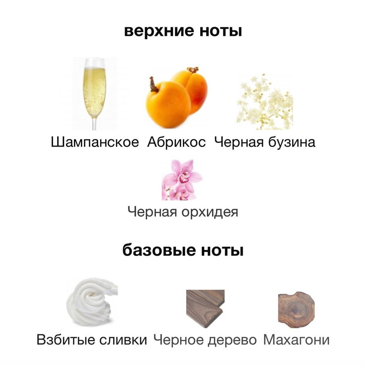 Купить ZARKOPERFUME PINK MOLECULE 090.09