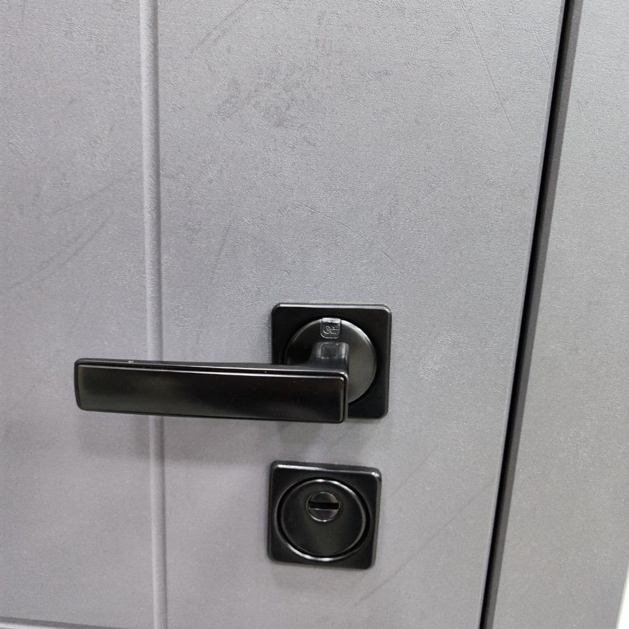 Купить Дверь входная "ЭВЕРЕСТ", ВДК