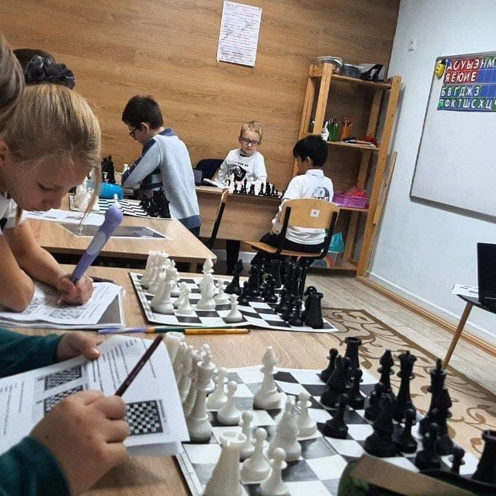 Купить Групповые очные