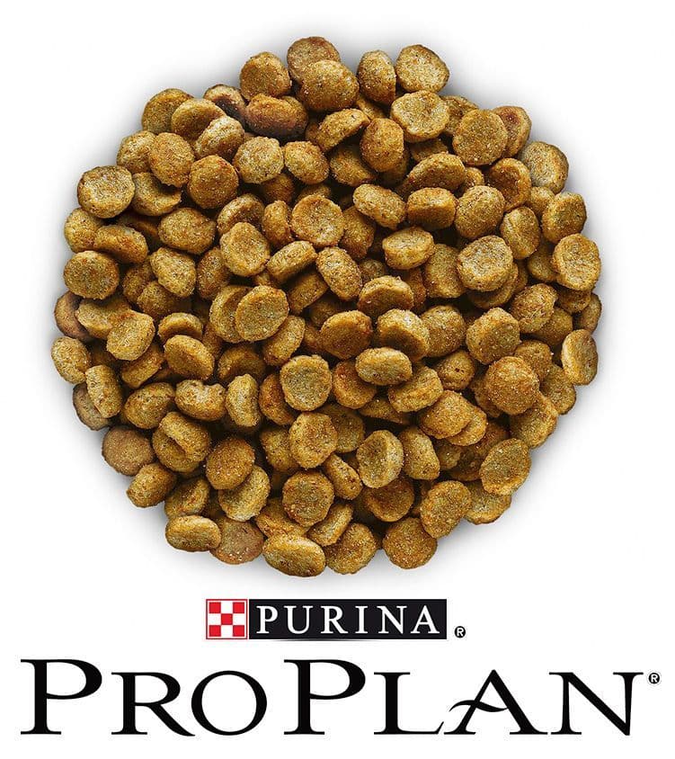 Купить Корм сухой PURINA PRO PLAN для взрослых кошек с чувствительн