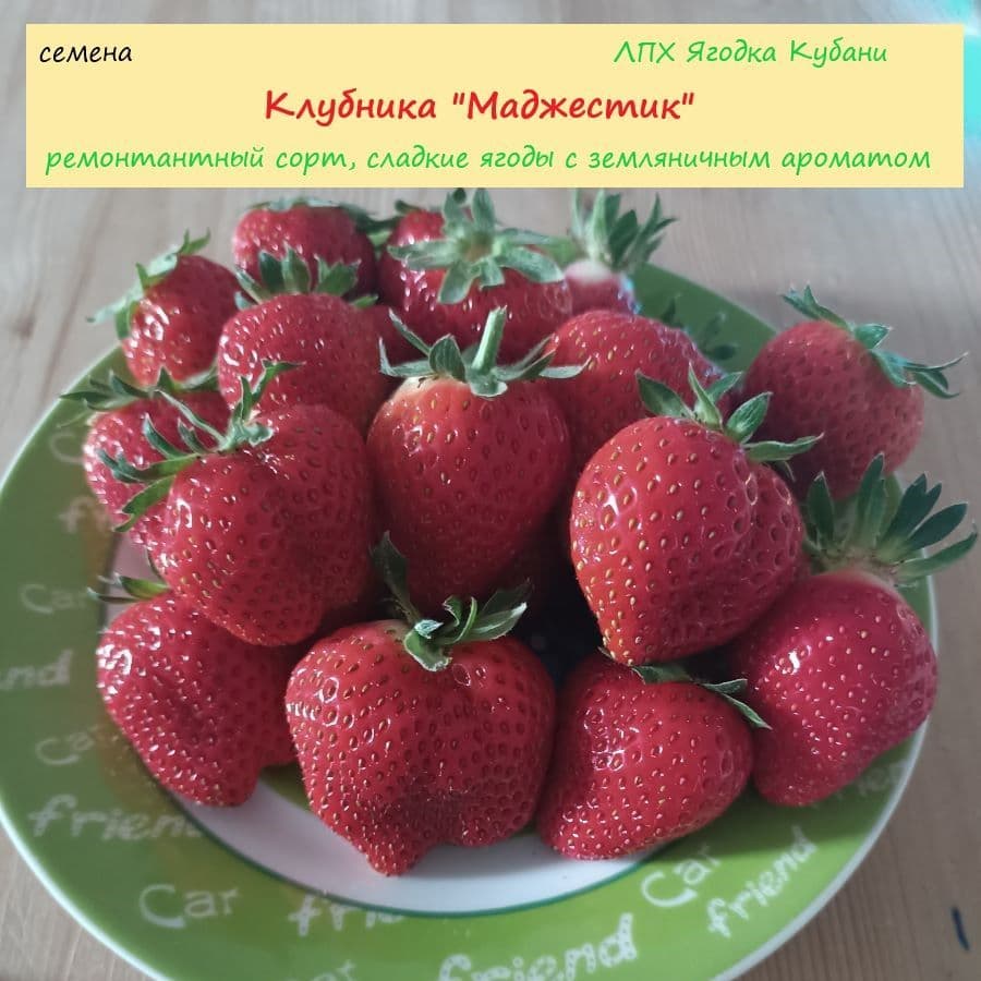 Купить Клубника "Маджестик" семена 30 шт.