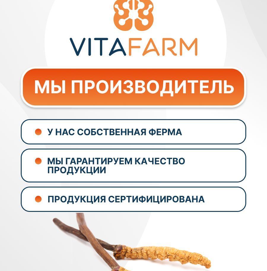 Купить Кордицепс милитарис порошок