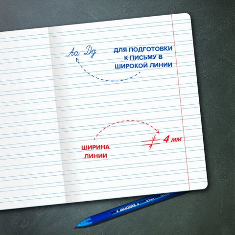 Купить Тетрадь 12 л., узкая линия, "УЧУСЬ ПИСАТЬ",  НАБОР 5 шт.